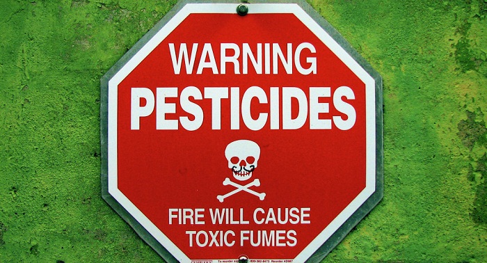 Autisme: la faute aux pesticides?